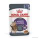 Влажный корм Royal Canin (Роял Канин) Appetite Control Care для контроля выпрашивания корма (в желе) 85 г/12 шт. RC 1467001 фото 1