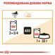Вологий корм Royal Canin (Роял Канін) Intense Beauty для краси шкіри та шерсті пауч (у желе) 85 г/12 шт. RC 4151001 (x12) фото 9