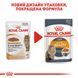Вологий корм Royal Canin (Роял Канін) Intense Beauty для краси шкіри та шерсті пауч (у желе) 85 г/12 шт. RC 4151001 (x12) фото 6