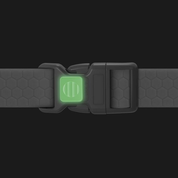 Нашийник для собак водостійкий WAUDOG Waterproof c QR паспортом, пластикова пряжка-фастекс, Ш 25 мм, Дов 38-58 см, чорний 27397 фото