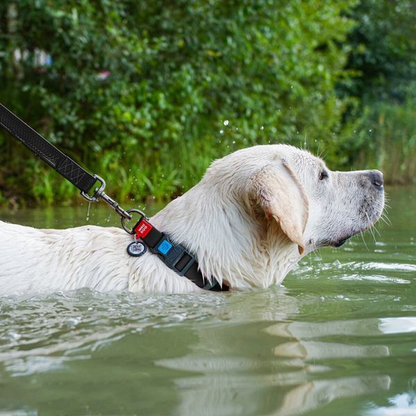Нашийник для собак водостійкий WAUDOG Waterproof c QR паспортом, пластикова пряжка-фастекс, Ш 25 мм, Дов 38-58 см, чорний 27397 фото