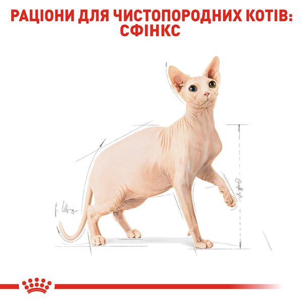 Сухий корм для котів та кішок Royal Canin (Роял Канін) Sphynx 0,4 кг. RC 2556004 фото