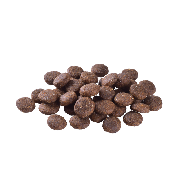 Сухой корм Brit Care Dog Grain-free Junior Large Breed для молодых собак больших пород, беззерновой с лососем, 3 кг 172200 фото