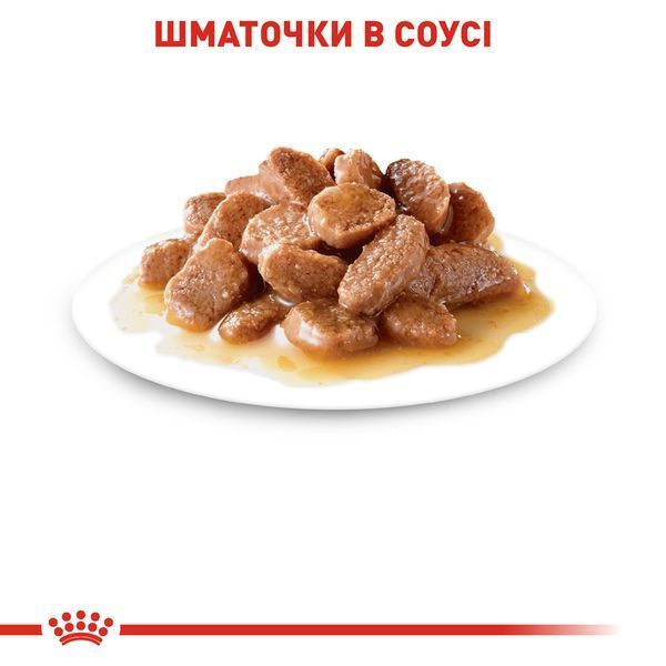 Вологий корм Royal Canin (Роял Канін) Hairball Care для виведення шерсті пауч (у соусі) 85 г/12 шт. RC 4158001 (x12) фото
