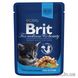 Вологий корм Brit Premium Cat Pouch для кошенят, з куркою, 100 г 100274 фото 1