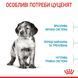 Сухий корм для щенят Royal Canin (Роял Канін) Medium Puppy 4 кг. 30030400 фото 4