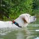 Нашийник для собак водостійкий WAUDOG Waterproof c QR паспортом, пластикова пряжка-фастекс, Ш 25 мм, Дов 38-58 см, чорний 27397 фото 6