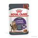 Влажный корм Royal Canin (Роял Канин) Appetite Control Care для контроля выпрашивания корма (в соусе) 85 г/12 шт. RC 1466001 фото 10