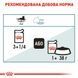 Вологий корм Royal Canin (Роял Канін) Hairball Care для виведення шерсті пауч (у соусі) 85 г/12 шт. RC 4158001 (x12) фото 9