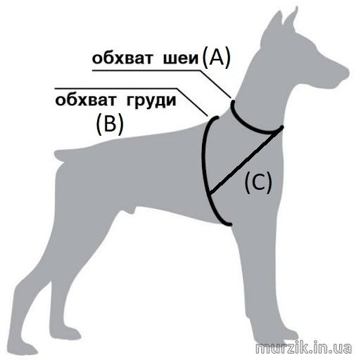 Шлея для кошек и собак мелких пород WAUDOG SOFT, с поводком, 46-64 см / 90 см, черный 41455789 фото