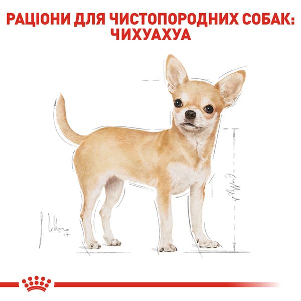 Сухий корм Royal Canin (Роял Канін) для собак породи Chihuahua (Чіхуахуа) 0,5 кг 2210005 фото