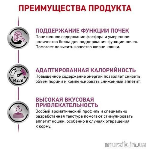 Вологий корм Royal Canin (Роял Канін) Renal з яловичиною при нирковій недостатності 85 г/12 шт. RC 4031001 (x12) фото