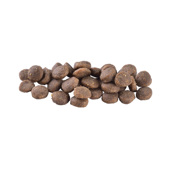 Сухой корм Brit Care Dog Grain-free Puppy для щенков, беззерновой с лососем, 1 кг 172193 фото
