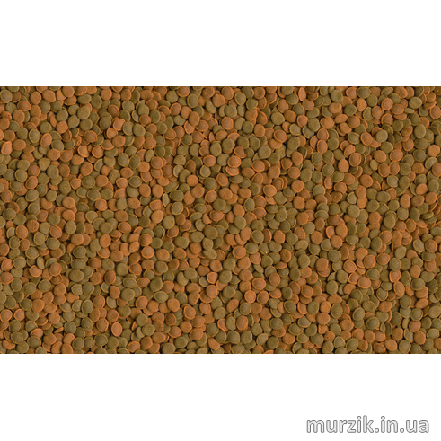 140066 фото