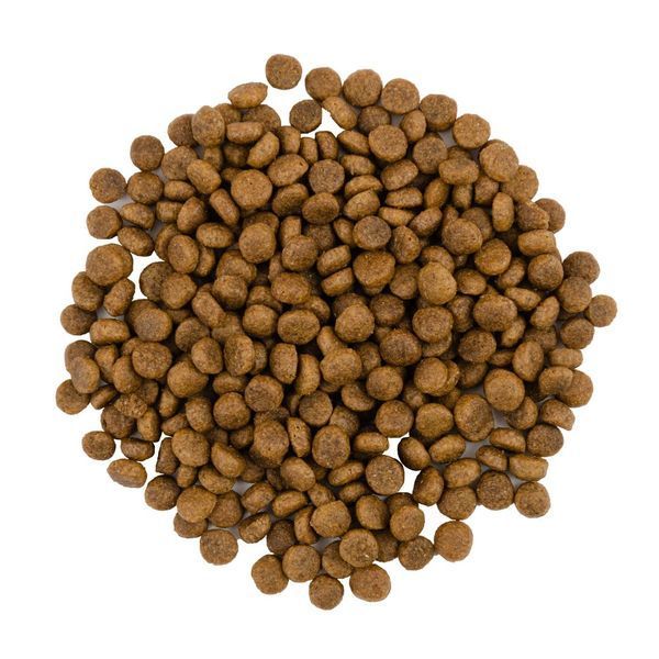 Сухий корм Savory для котів гурманів, зі свіжою індичкою та качкою, 400 г 30044 фото