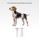 Пояс гигиенический для кобелей WAUDOG Vet на липучке, серый, ХХS, А 26-30 см 674011 фото 2