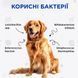 Комбіфлор пробіотик (Kombiflor Probiotic) порошок для підтримки балансу мікрофлори кишечника собак та котів MODES ЗС000319 фото 3