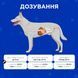 Комбіфлор пробіотик (Kombiflor Probiotic) порошок для підтримки балансу мікрофлори кишечника собак та котів MODES ЗС000319 фото 2
