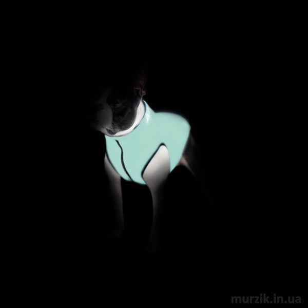 Курточка для собак Collar AiryVest Lumi, двусторонняя, S35, салатово-голубая 41494836 фото