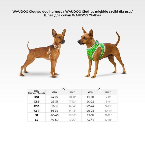 Шлея для собак мягкая WAUDOG Clothes c QR паспортом, рисунок "Супермен красный", XS1, В 24-27 см, С 18-20 см 1001-4007 фото