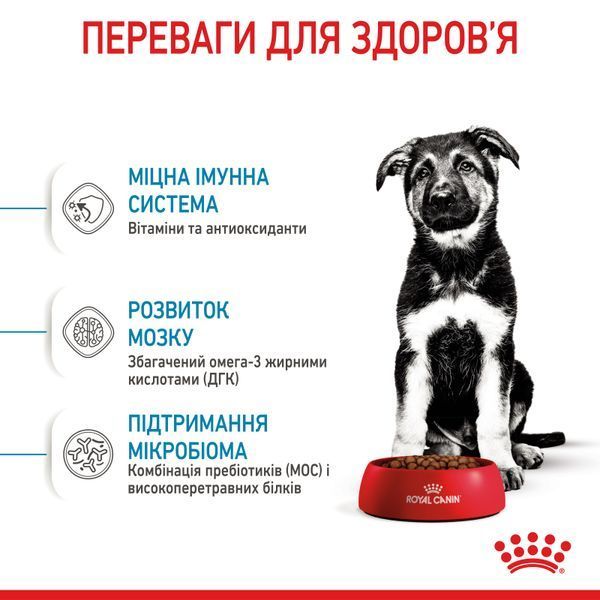 Сухой корм для щенков крупных пород Royal Canin (Роял Канин) Maxi Puppy 4 кг. 30060400 фото