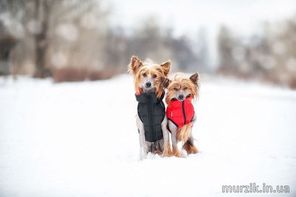 Курточка для собак Collar AiryVest, двусторонняя, M45, красно-черная 41494763 фото