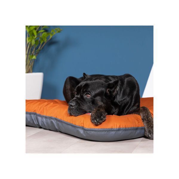 Лежак Pet Fashion ASKOLD терракотовый 5 для собак 102*76*14 см PR243865***** фото