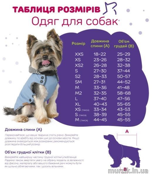 Комбинезон для собак Pet Fashion &laquo;Enigma&raquo; XS (синий) 42205159 фото