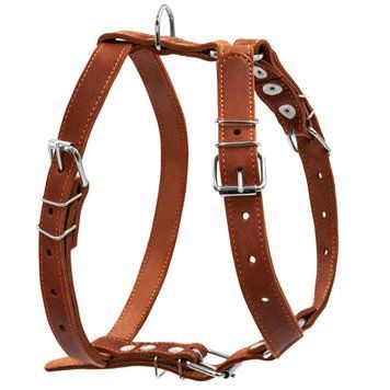 Шлея "CoLLaR" одинарна для середніх собак (ширина 25мм, А:49-68см, В:68-80см) коричневий 06381 фото