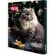 Адвент календар Trixie для котів PREMIO 30х34х3,5 см арт 9264 9264_Christmas фото 1
