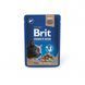 Влажный корм Brit Premium Cat pouch для стерилизованных кошек, печень, 100 г 111832 фото 1