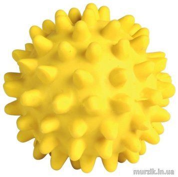 6765451 фото