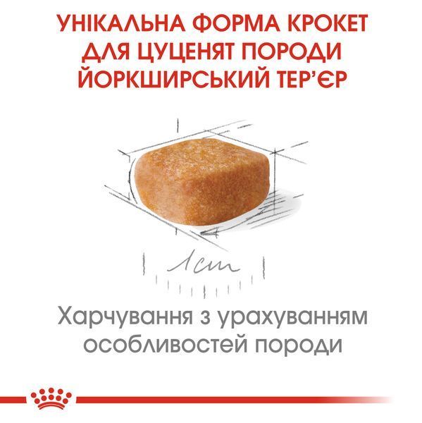 Сухий корм для щенят Йорка Royal Canin (Роял Канін) Yorkshire Puppy 500 г 39720051 фото