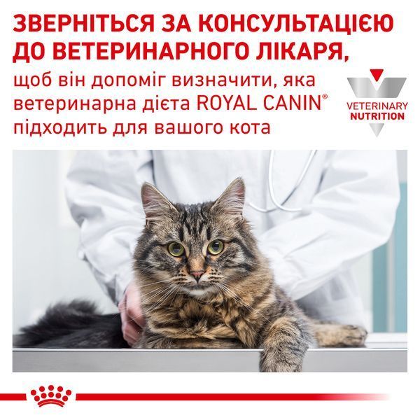 Вологий корм Royal Canin (Роял Канін) Diabetic для котів і котів, які страждають на цукровий діабет, пауч 85 г/12 шт. RC 40850011 (x12) фото