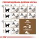 Сухий корм Royal Canin (Роял Канін) для котів страше 12 років Ageing 12+ 2 кг. RC 2561020 фото 8