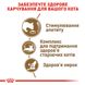 Сухий корм Royal Canin (Роял Канін) для котів страше 12 років Ageing 12+ 2 кг. RC 2561020 фото 6