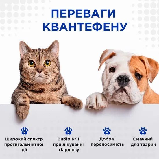 КВАНТЕФЕН (Kvantefen) антигельминтные таблетки для кошек и собак малых пород, 1 таб на 5 кг (4 табл.), MODES (от гельминтов) ЗС000368 фото