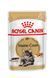 Вологий корм для котів породи Мейн-Кун Royal Canin (Роял Канін) Mainecoon Adult пауч (у соусі) 85 г/12 шт. RC 2031001 (x12) фото 1