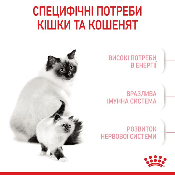 Сухой корм Royal Canin (Роял Канин) для котят в возрасте от 1 до 4 месяцев Babycat 0,4 кг. RC 2544004 фото