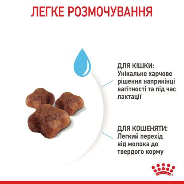 Сухий корм Royal Canin (Роял Канін) для кошенят віком від 1 до 4 місяців Babycat 0,4 кг. RC 2544004 фото