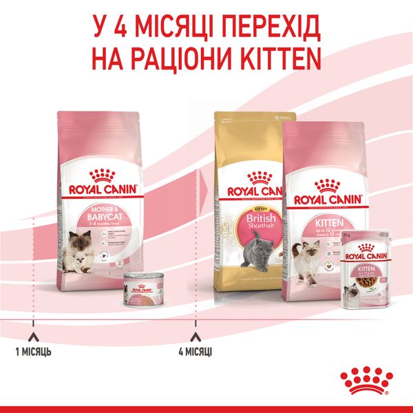 Сухой корм Royal Canin (Роял Канин) для котят в возрасте от 1 до 4 месяцев Babycat 0,4 кг. RC 2544004 фото