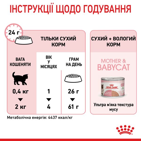 Сухий корм Royal Canin (Роял Канін) для кошенят віком від 1 до 4 місяців Babycat 0,4 кг. RC 2544004 фото