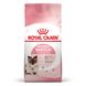 Сухий корм Royal Canin (Роял Канін) для кошенят віком від 1 до 4 місяців Babycat 0,4 кг. RC 2544004 фото 1