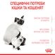 Сухий корм Royal Canin (Роял Канін) для кошенят віком від 1 до 4 місяців Babycat 0,4 кг. RC 2544004 фото 4