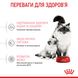 Сухой корм Royal Canin (Роял Канин) для котят в возрасте от 1 до 4 месяцев Babycat 0,4 кг. RC 2544004 фото 5