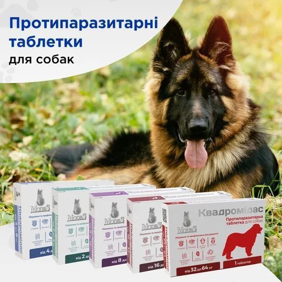 Квадромидас противопаразитарные таблетки для собак 8-16 кг, 0,8 г, MODES (от блох, клещей, гельминтов) ЗС000341 фото