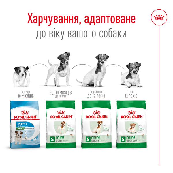 Сухой корм для собак Royal Canin (Роял Канин) Mini Adult 2 кг 3001020 фото