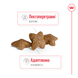 Сухой корм для собак Royal Canin (Роял Канин) Mini Adult 2 кг 3001020 фото 2
