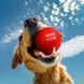 Игрушка для собак WAUDOG Fun Red Ball, вспененный термопластичный полиуретан, 70 мм. 6001 фото 5