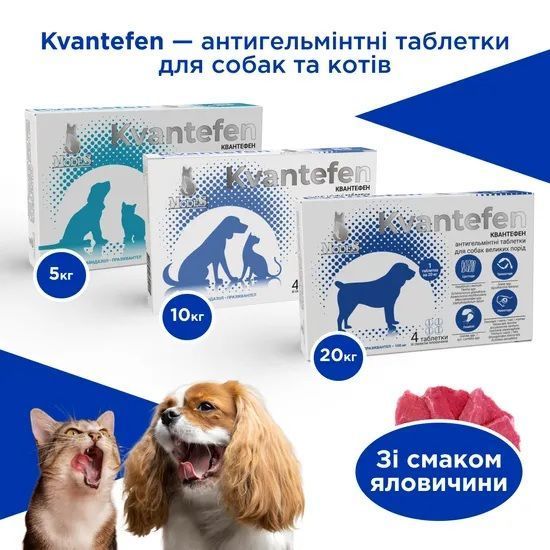 КВАНТЕФЕН (Kvantefen) антигельминтные таблетки для собак и кошек (4 табл.), MODES (от гельминтов) ЗС000337 фото